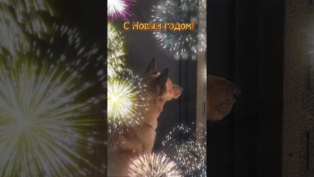 С Новым годом! 🌲🎉