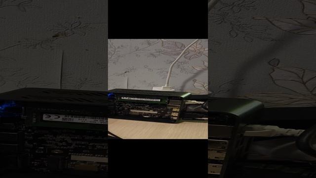 1000067493.mp4