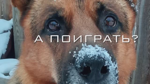 Зимние игры.