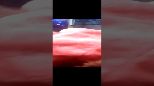 VID_20241231_162247.mp4