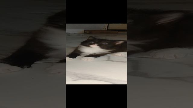 1000076778.mp4
