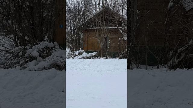 Вот вам и итог года
