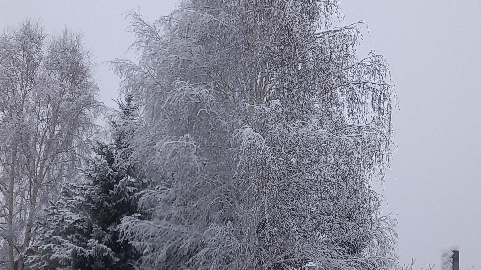 31-12-2024  СЕГОДНЯ КОРОТКИЙ ДЕНЬ. 🌲🎅