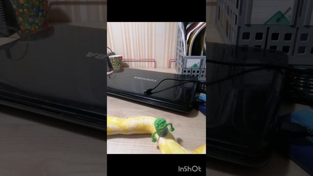 Горошек битва змей