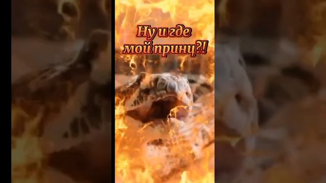 С новым годом!