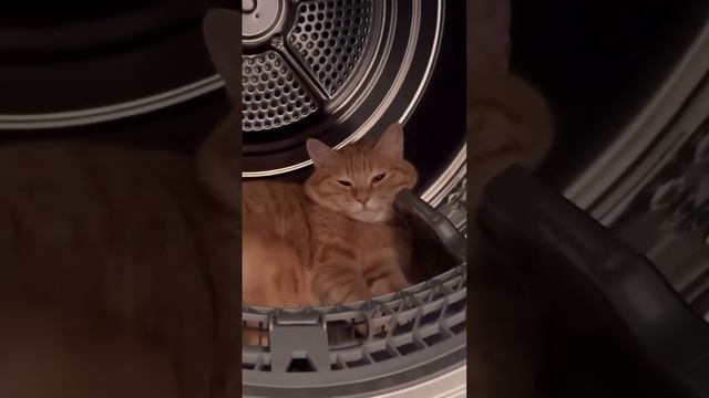 Стирка отменяется
