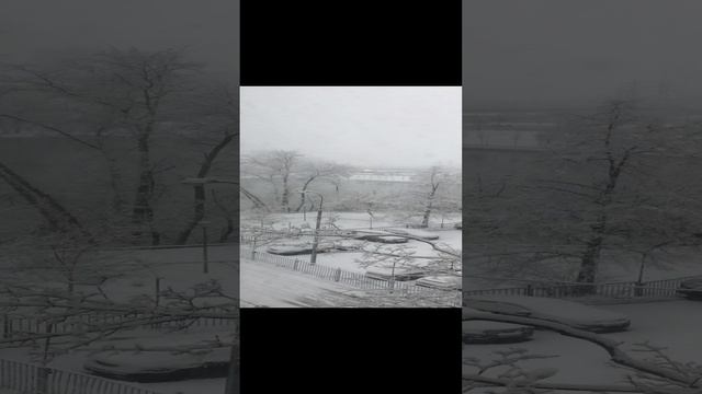За окном в новогодний день такая красота ! ВОЛШЕБНО,ПО НОВОГОДНЕМУ!
ВЕЛЕСЛАВА Л