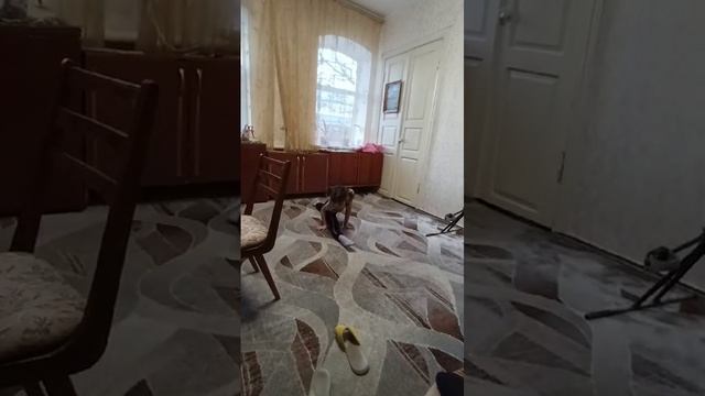 23.02.2024г.mp4