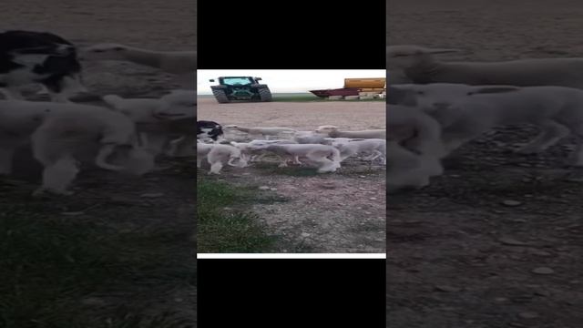 Каждый раз после мероприятия