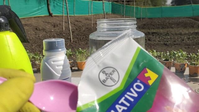 Syngenta Quantis  Nativo Bayer  Experiment  mix testing