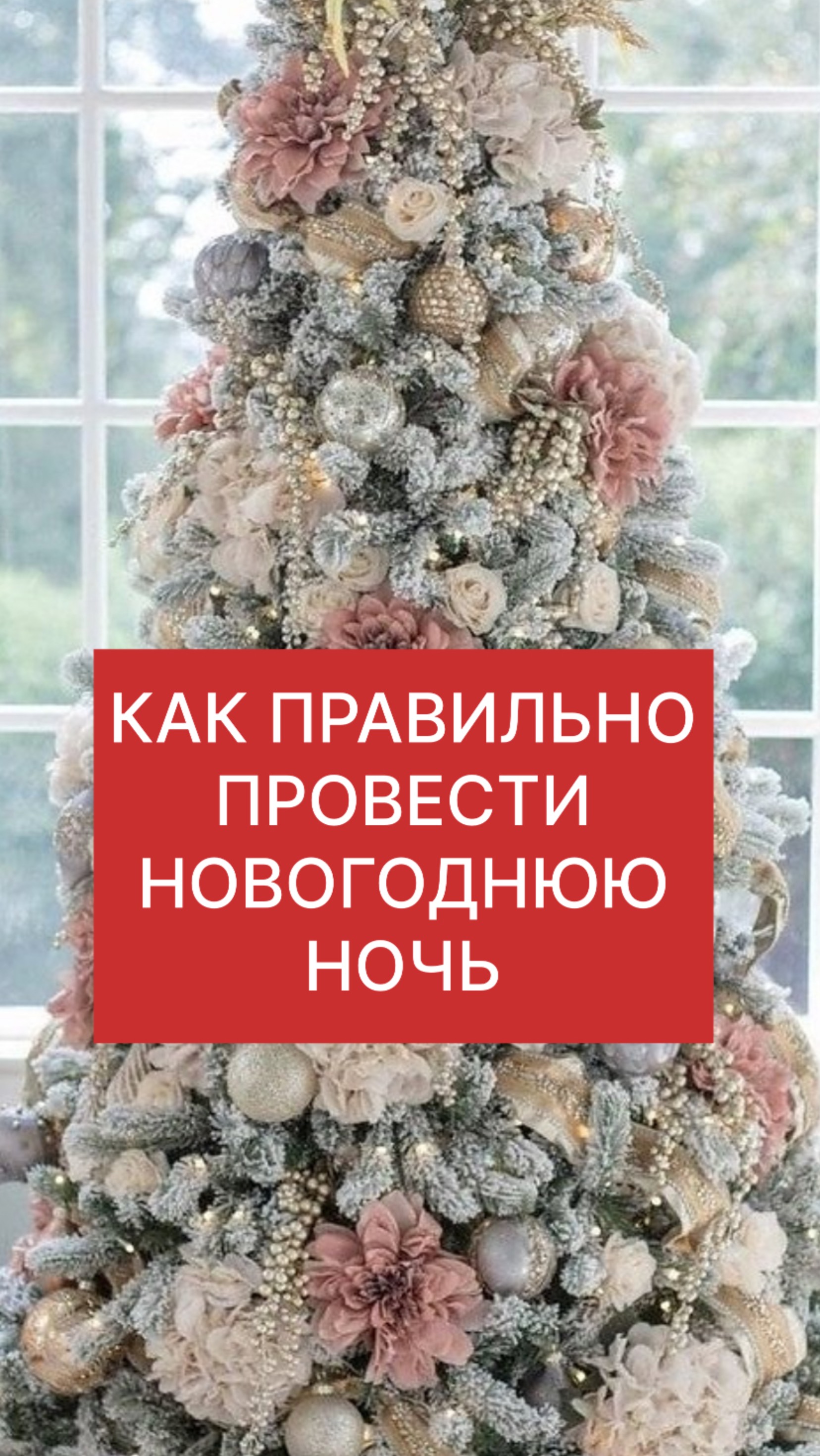 КАК ПРАВИЛЬНО ПРОВЕСТИ НОВОГОДНЮЮ НОЧЬ