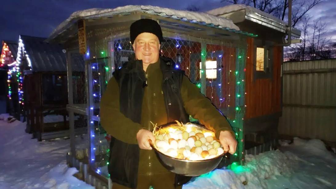 С НОВЫМ ГОДОМ!!! С НОВЫМ СЧАСТЬЕМ, ДРУЗЬЯ!!! 01.01.2025 год.