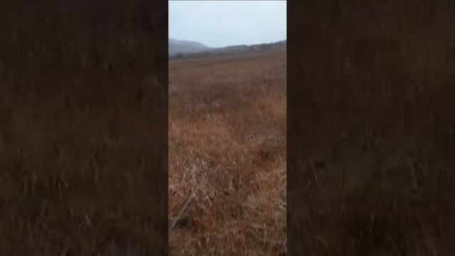 1000033037.mp4 рыбалка