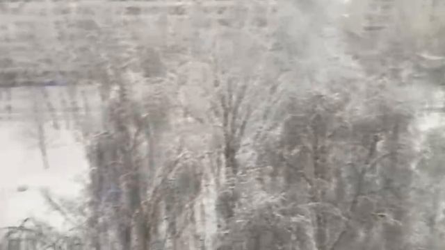 1000002026.mp4