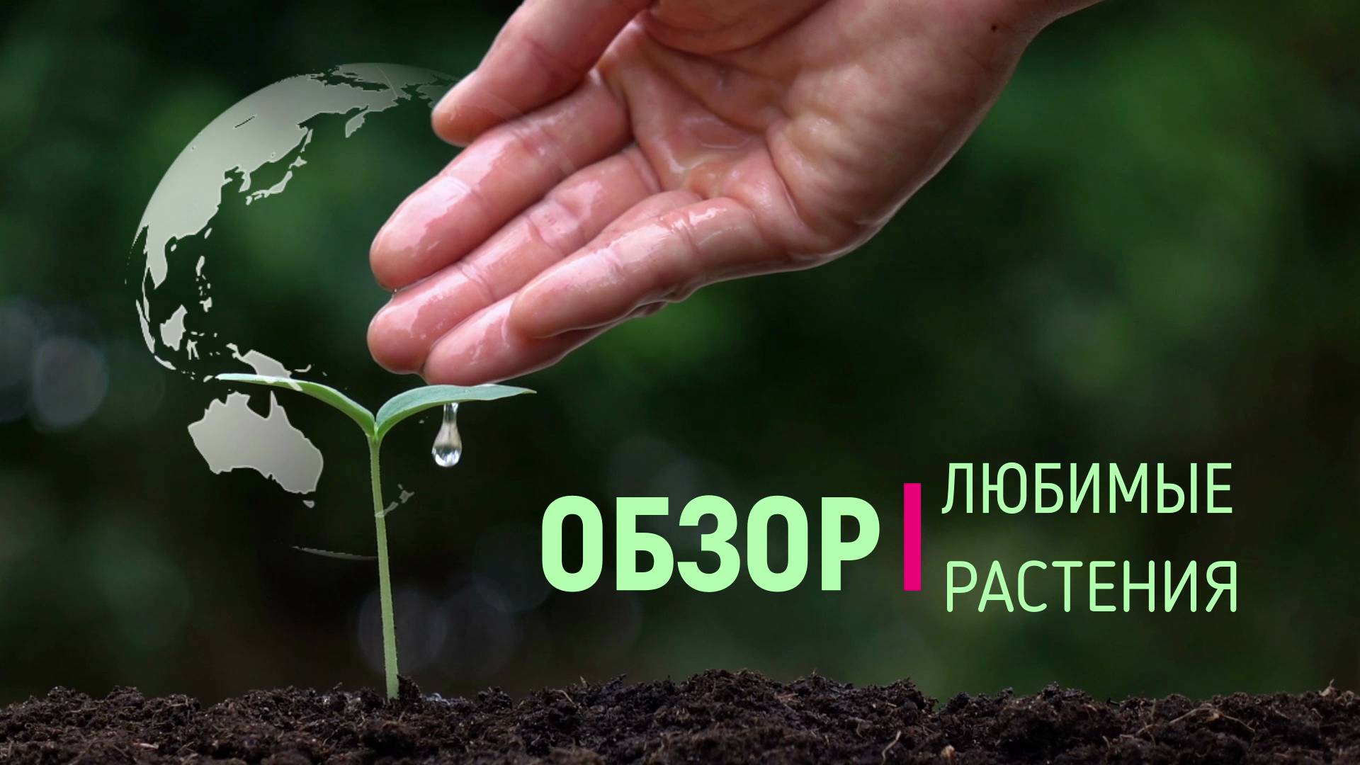 С наступающим 2025г. Итоги года, мой переезд в Краснодар, что успел построить с нуля за 9 месяцев.
