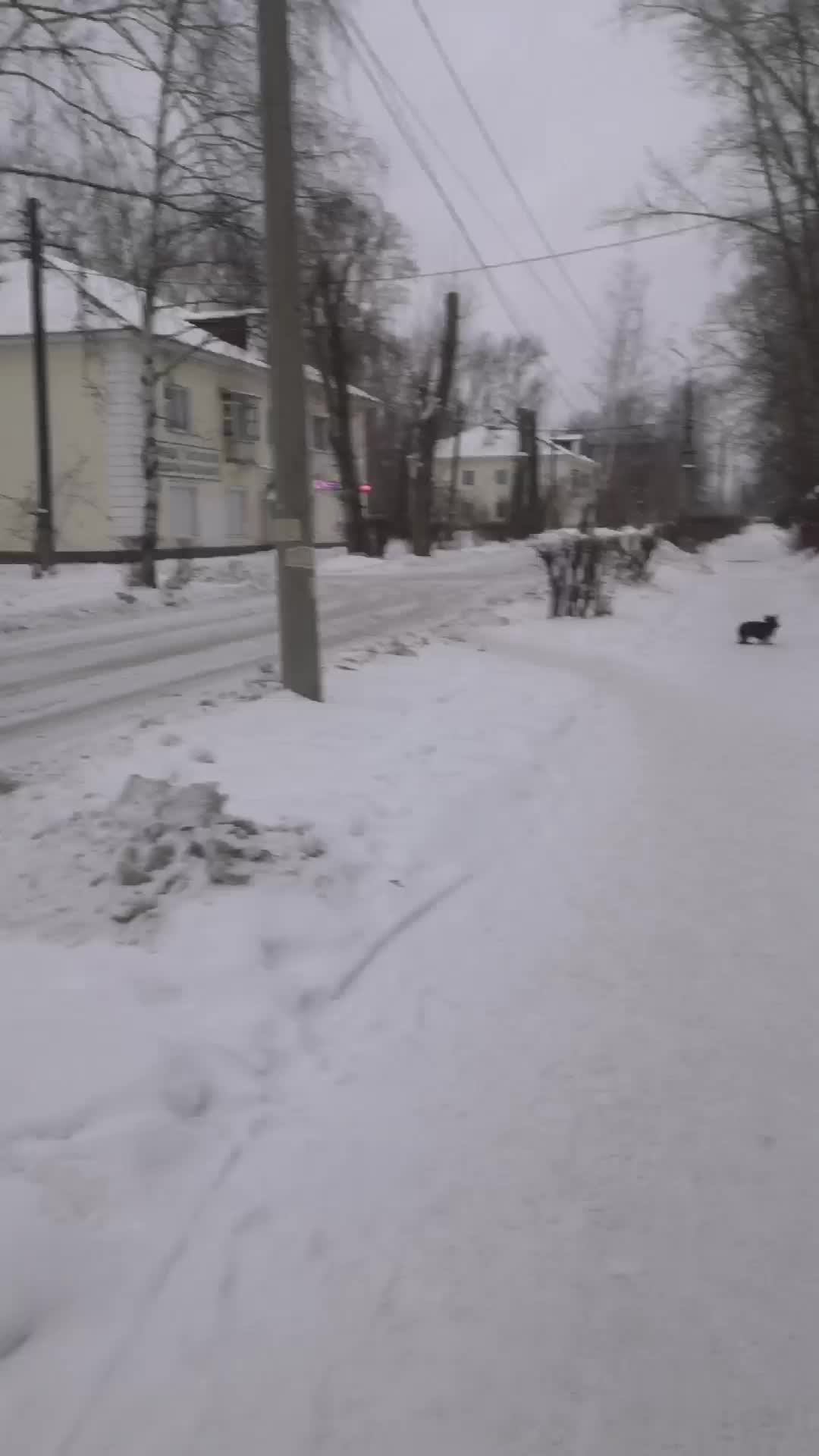 Гуляем