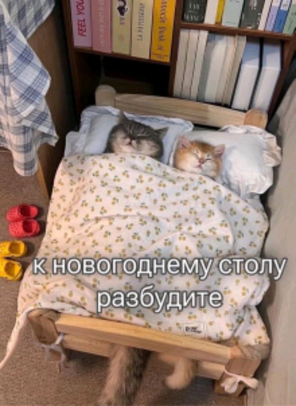 не одного лайка😓 и подписки 😓