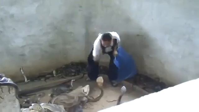 Как он может это делать