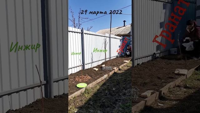 MovaviClips_Video_20220329-114649.mp4