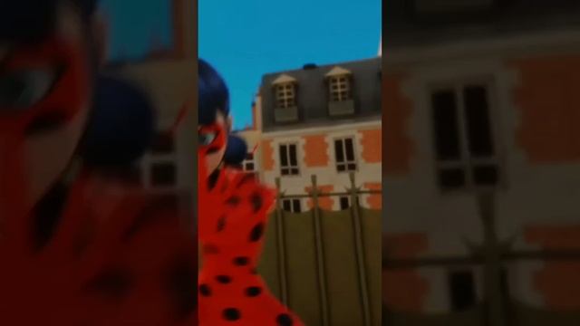 ледибагсуперкот