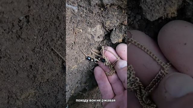 1000033024.mp4 золото