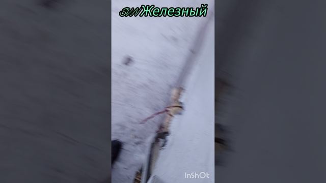 Добываю вторсырье.Три коротких видео 🎞️. Видео 3