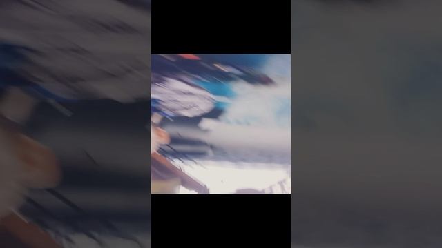 VID20241231132144.mp4