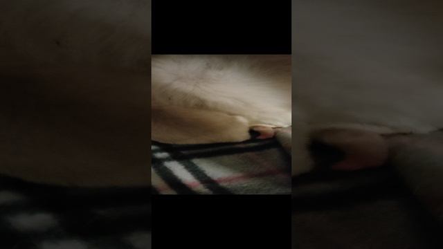 1000041059.mp4