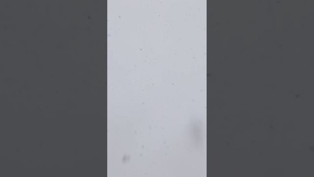 1735639578428.mp4