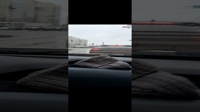 закупки на новый год