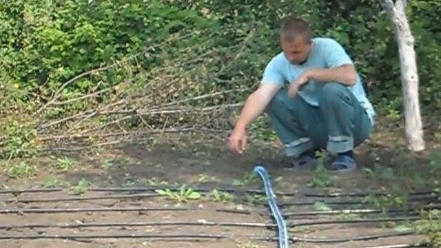 Капельный полив своими руками