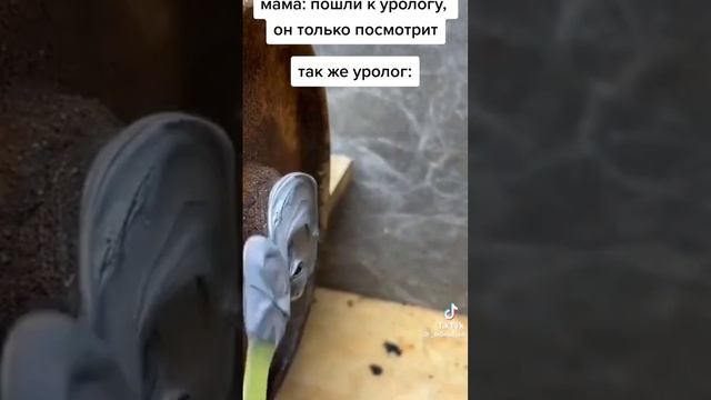 мем #3🤣