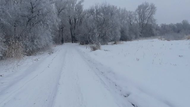 Прогулка по зимнему лесу.😊