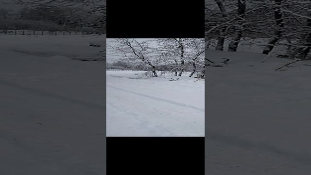 красота зимняя на новый год