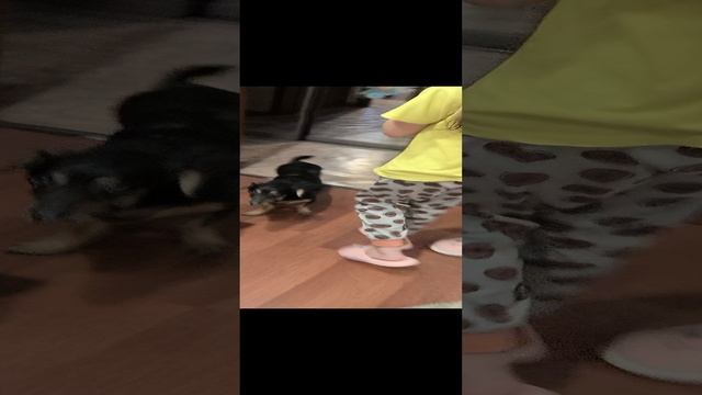 Новый влог , первый новый год семьей