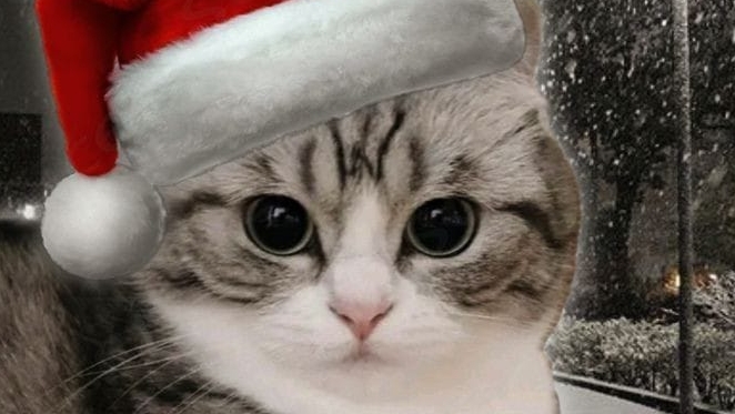Пред новогодняя