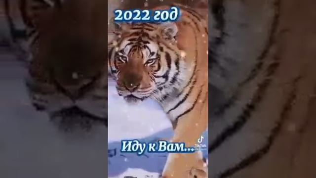 всем с наступающим новым годом 2025 году
