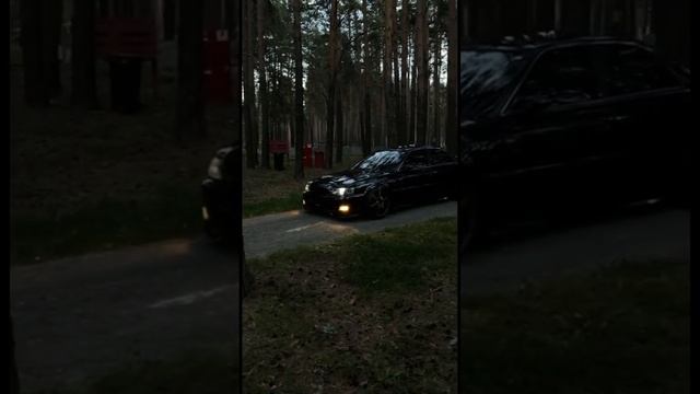 Toyota chaser jzx100 in forest