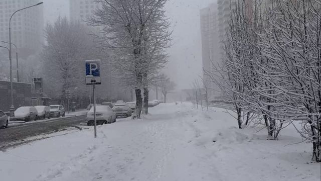 ❄️Снегопад усилится в ближайшие часы в Москве — осадки сохранятся до 15-16 часов❄️