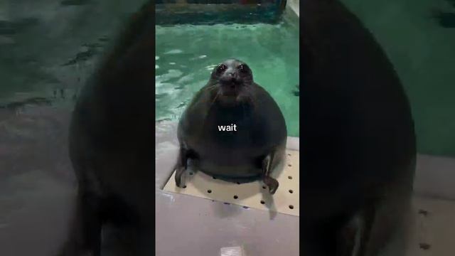 ✋💞💞💞