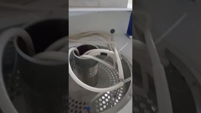 xenon wheather chamber