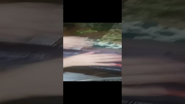 1000006276.mp4
