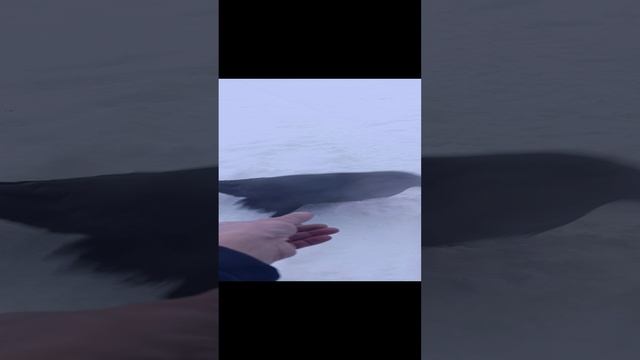 1000117069.mp4