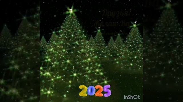 31-12-2024 ЛВЕ