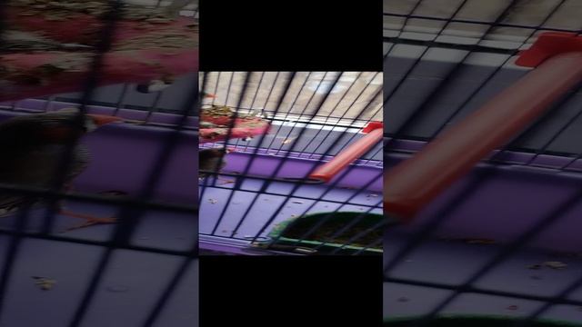 С наступающим 2025