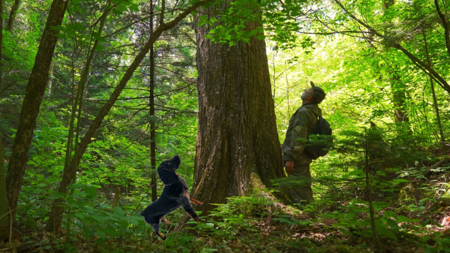 ТАЙГА БЕЗДОРОЖЬЕ ВЫЖИВАНИЕ. Алексеевские водопады. Приморская Уссурийская тайга.