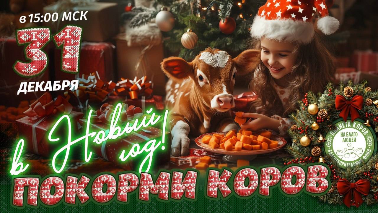 Кормление коров онлайн  31 декабря 2024 г., Планета коров