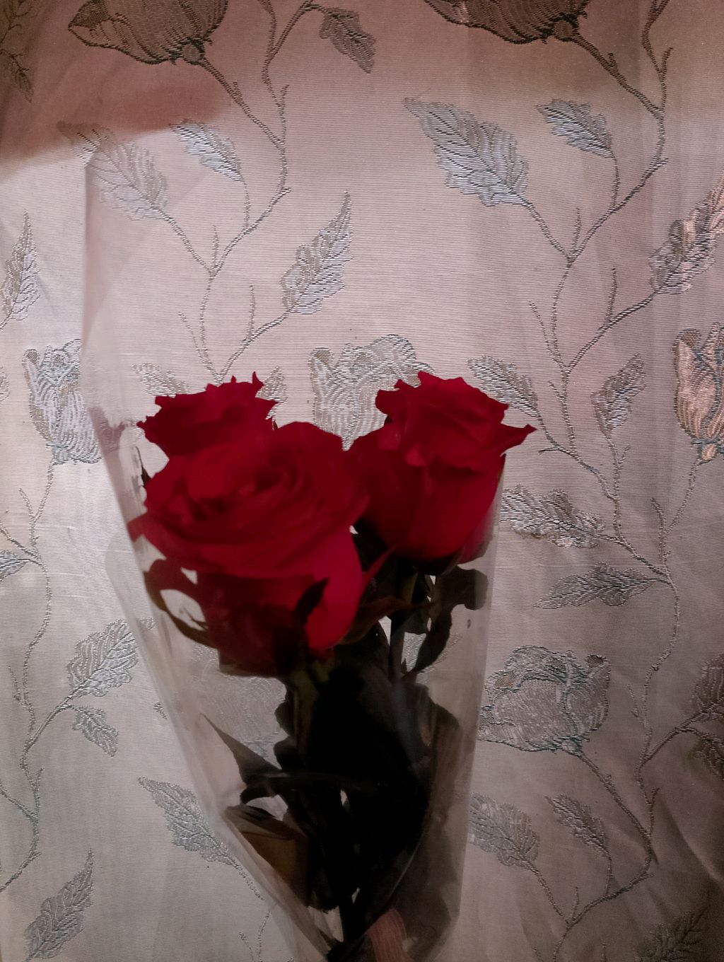 собираемся в 2025)