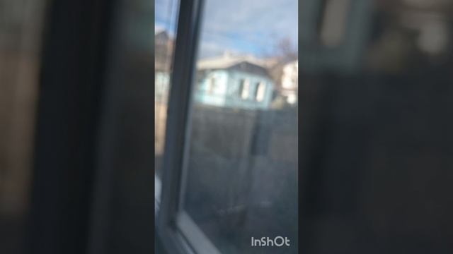 Котлетки.