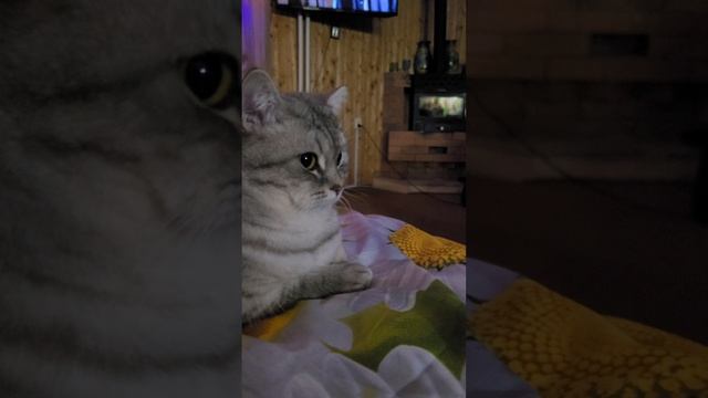 Новогоднее поздравление от нас ❄️